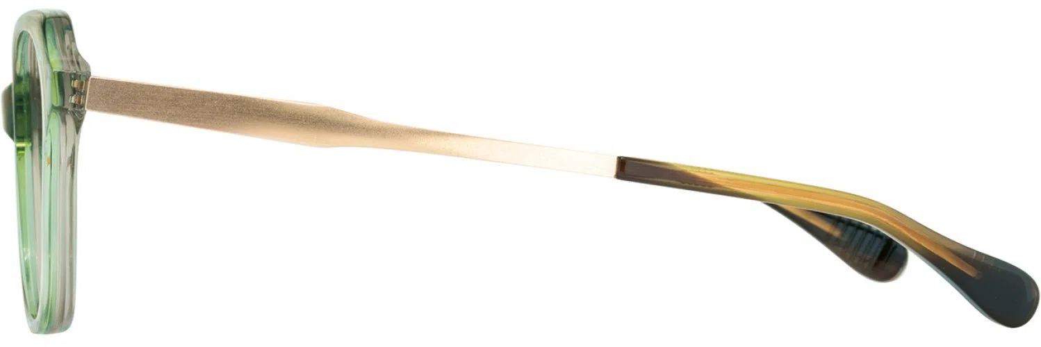 Alan J AJ520 Eyeglasses - view 11